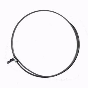 Photo 10 02 2025, 12 38 00