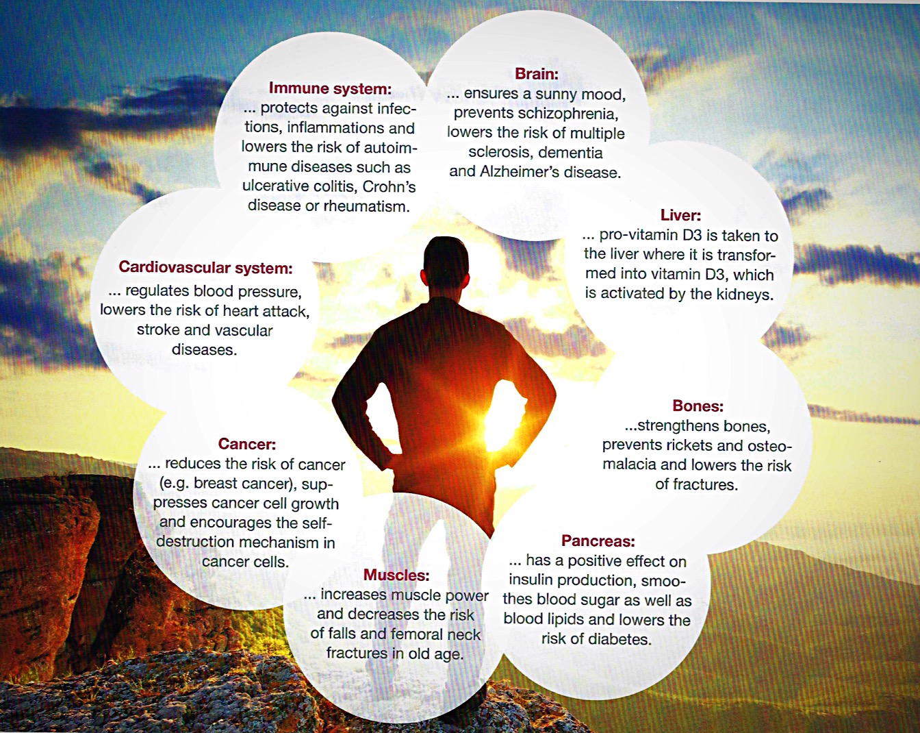 The image belowe shows how artificial tanning and the use of collagen sunbeds can provide people with sufficient amount of Vitamin D. It shows how the use of sunbeds which are combined with UVB (for vitamin D) and UVA (physiological well being) has a positive effect on humans body.